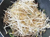 【節約レシピ】　ごま油香る『モヤシあんかけ』　子供に食べさせてみたら「白米足りるかな…」