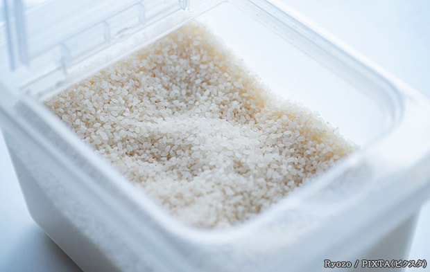 米の写真