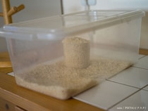 専門家に聞く！　米びつの「米継ぎ足し」はやめたほうがいい？