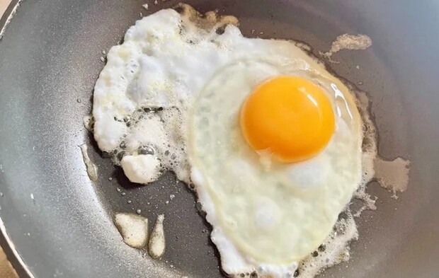 撮影：エニママ