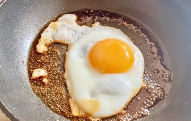 撮影：エニママ