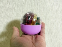 購入したカプセルトイ　『相撲アイテム』が入っていて…「声出して笑った」