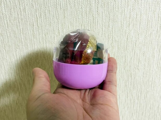 購入したカプセルトイ　『相撲アイテム』が入っていて…「声出して笑った」