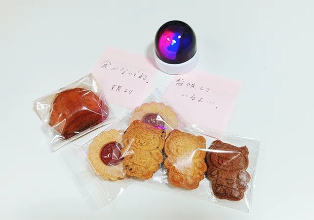 『なんちゃって防犯カメラ』（撮影：grape編集部）