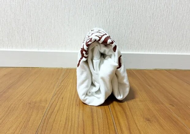 Tシャツのたたみ方（撮影：grape編集部）
