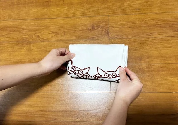 Tシャツのたたみ方（撮影：grape編集部）