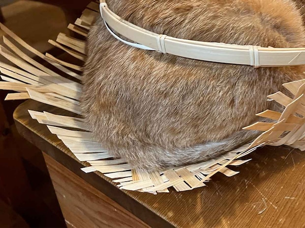 野菜を入れるはずだったカゴ　目にした光景に「ご立派ですね」「活きがよすぎるだろ！」