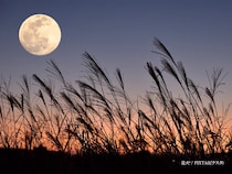 『中秋の名月』がいよいよ！翌日には『ハーベストムーン』も