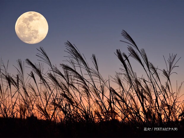 『中秋の名月』がいよいよ！翌日には『ハーベストムーン』も