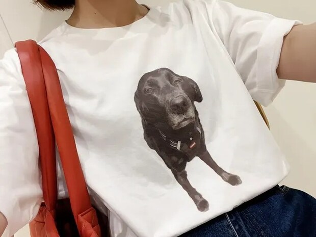犬のTシャツ写真（撮影：grape編集部）