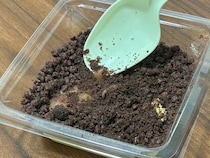 自宅でサツマイモ掘り体験！？　ファミマの斬新なスイーツを食べると…「懐かしい」