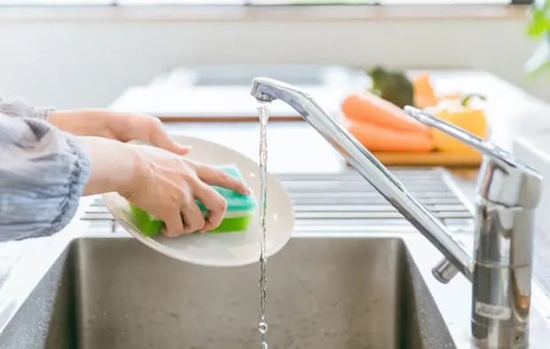 食器を洗っている様子