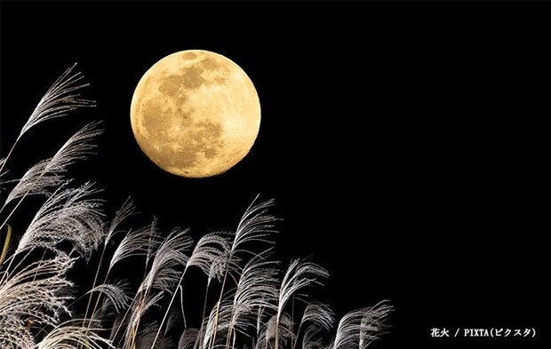 満月のイメージ画像