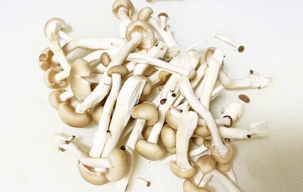 『きのこのオイル漬け』を作る写真