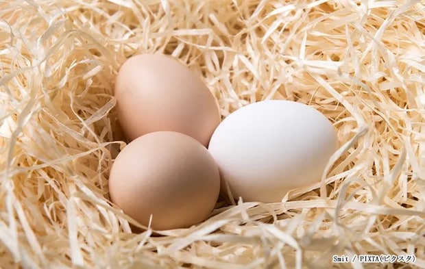 ニワトリの卵