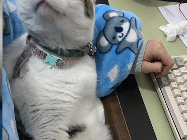 「これぞワークライフバランスの極み」　女性が紹介した『職場で一番好きな同僚』が…？