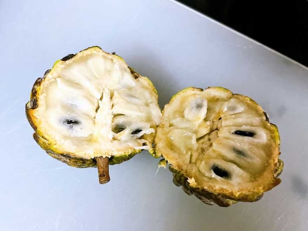 カスタードアップル（撮影：grape編集部）