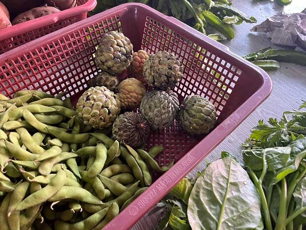 カスタードアップル（撮影：grape編集部）