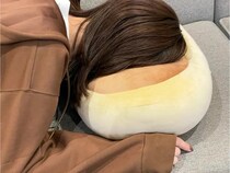 「違うものを買いに来たのに…」　衝動買いする人が続出しているニトリのクッションが？