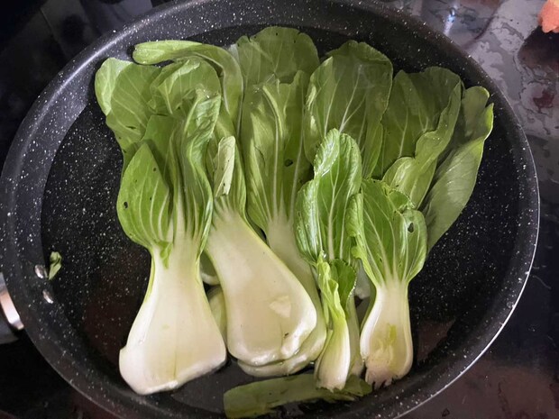 チンゲン菜の写真（撮影：grape編集部