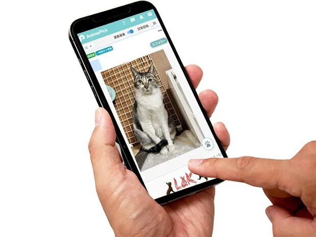 アプリ使用イメージ（提供：Author）