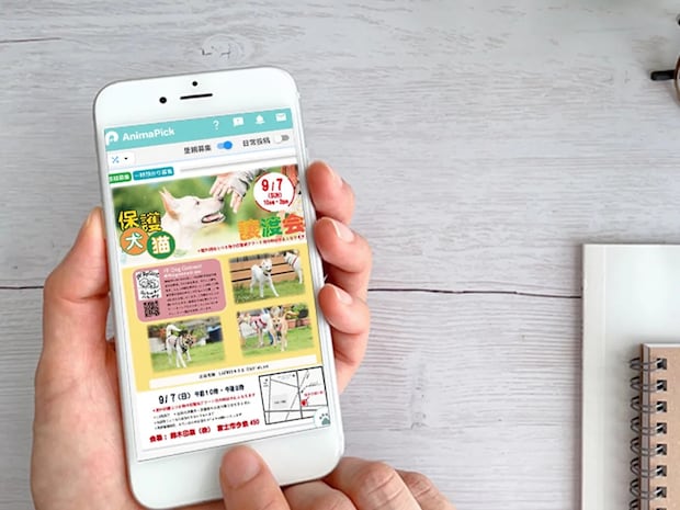 「動物の投稿だけが見たい…」　『専用SNSアプリ』を使ってみると？