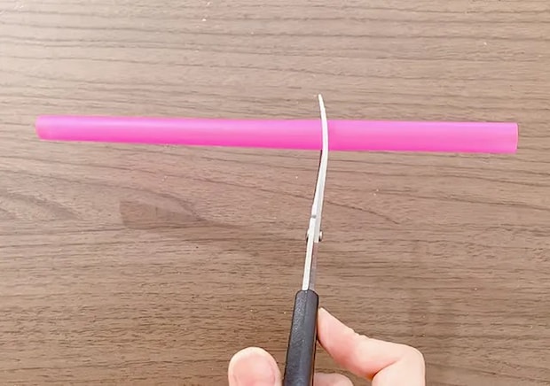 タピオカストロー（撮影：grape編集部）