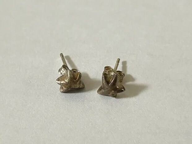 シルバーピアスの写真（撮影：grape編集部）