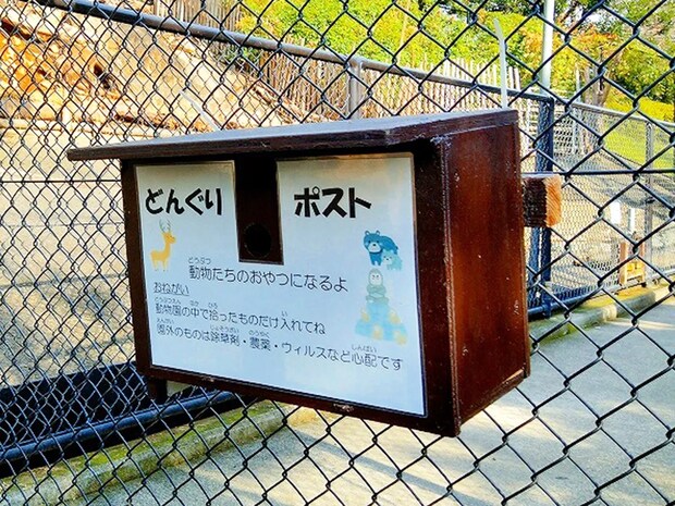 動物園のユニークな取り組みに反響　カバ舎の前にあった『ポスト』に「かわいいシステム」