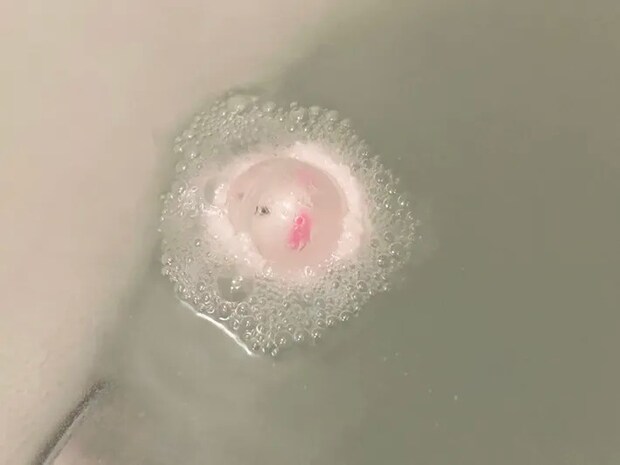 『ぷにっと！シマエナガ バスボール』の写真（撮影：grape編集部）