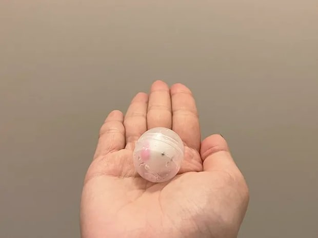 『ぷにっと！シマエナガ バスボール』の写真（撮影：grape編集部）