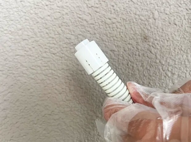 ダイソーの防虫キャップの写真（撮影：grape編集部）