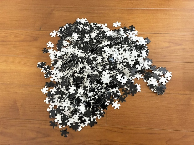 男性「もうダメだ、やめたい」　ダイソーで買ったパズルで遊んだ結果…メンタルに異変が現れたワケ