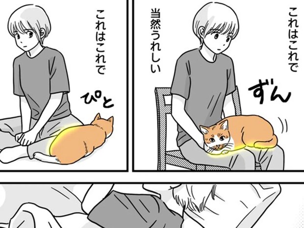 猫好きが語彙力を失うほど…！『猫の4点責め』が最高すぎるワケに納得【インタビュー】