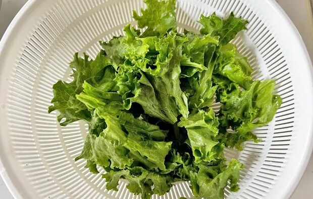 ざるとボウルで野菜の水切りをする写真