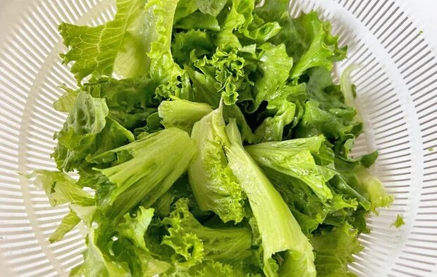 ざるとボウルで野菜の水切りをした写真