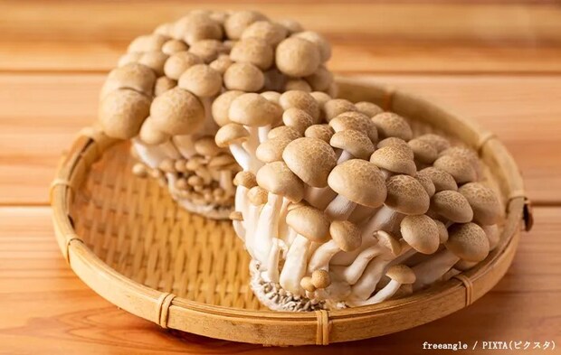 しめじの写真