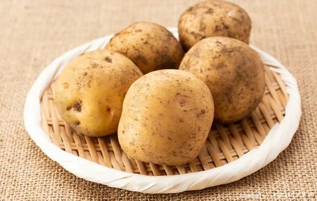 じゃがいもの写真