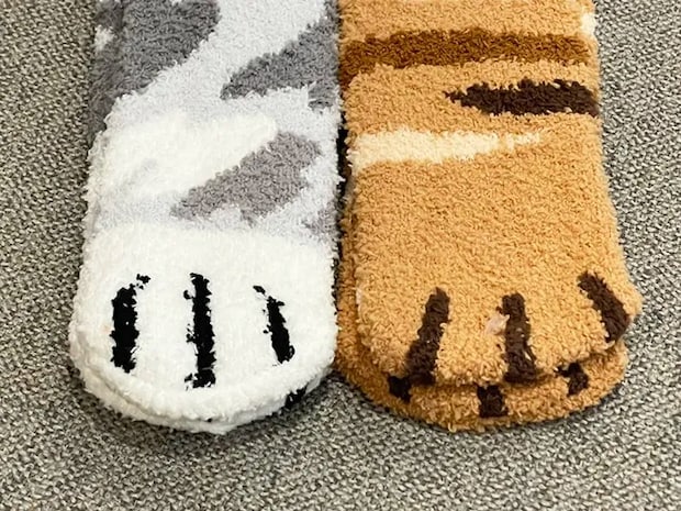 ダイソーのルームソックスの写真（撮影：grape編集部）