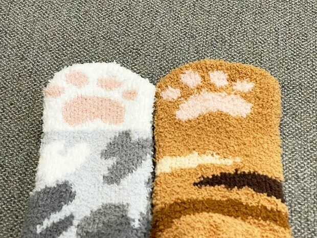 ダイソーのルームソックスの写真（撮影：grape編集部）