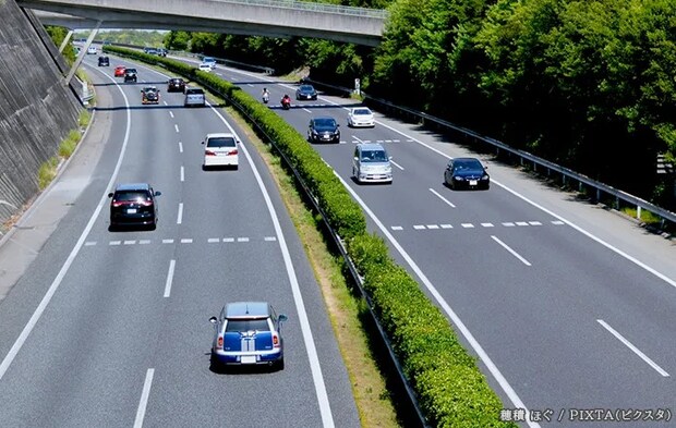 道路の植木の写真