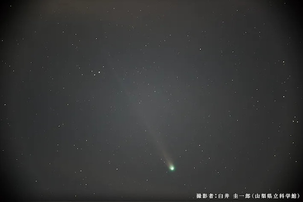 レモン彗星の写真（提供：山梨県立科学館）