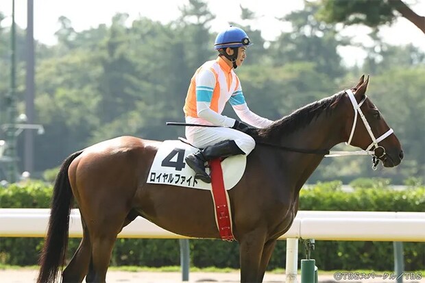 『ザ・ロイヤルファミリー』の場面写真