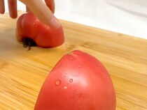 「また作って」の声が続出　麻婆の新定番に「これ絶対ハマる」「家族ウケ最強」【アレンジレシピ4選】