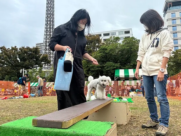 避難を体験するペットの写真（撮影：grape編集部）