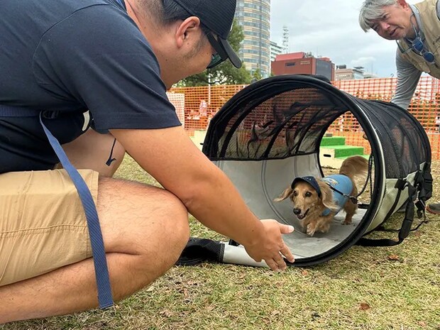 避難を体験するペットの写真（撮影：grape編集部）