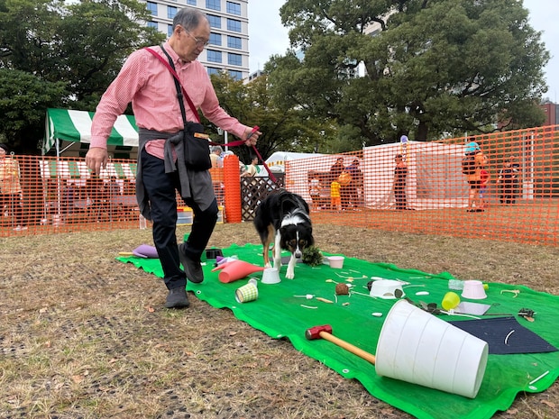 避難を体験するペットの写真（撮影：grape編集部）