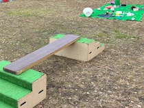 もしもの時に備える！　専門家が教えるペットの『災害対策』とは？【独自取材】