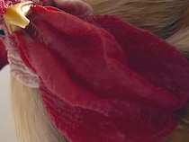 「目覚めたか、人間よ」 昼寝中の飼い主を見下ろしていたのは…　「圧がすごい」