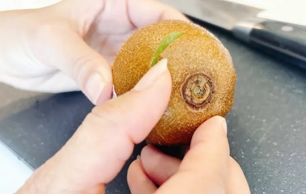 キウイフルーツを切った写真（撮影：キジカク）